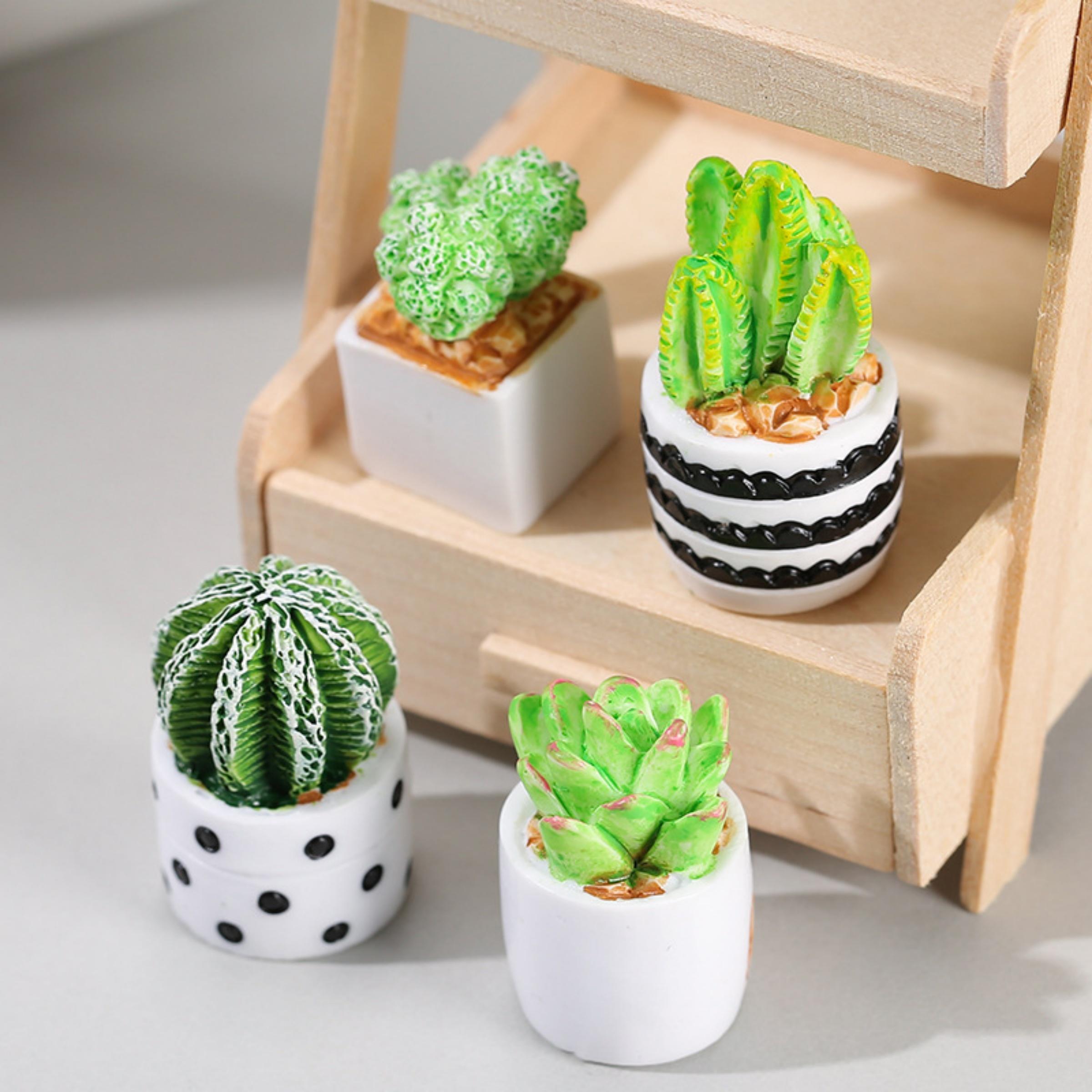 Cactus Mix Pot - 4-Piece Set of Cactus Succulent Plant