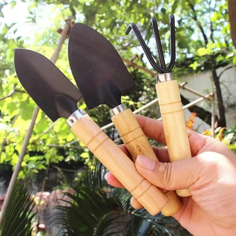 3Pcs/Set Mini Garden Tool Set  - Cactus Mix Pot ulasan dan harga