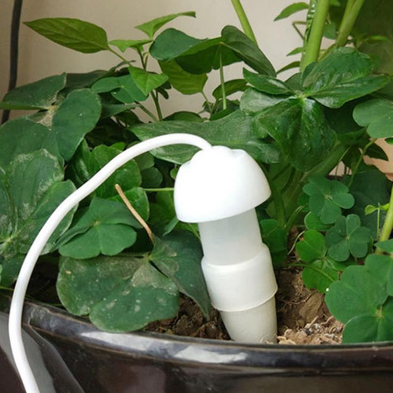 Plant Automatic Watering Devic - Plant Parent Kit ulasan dan harga