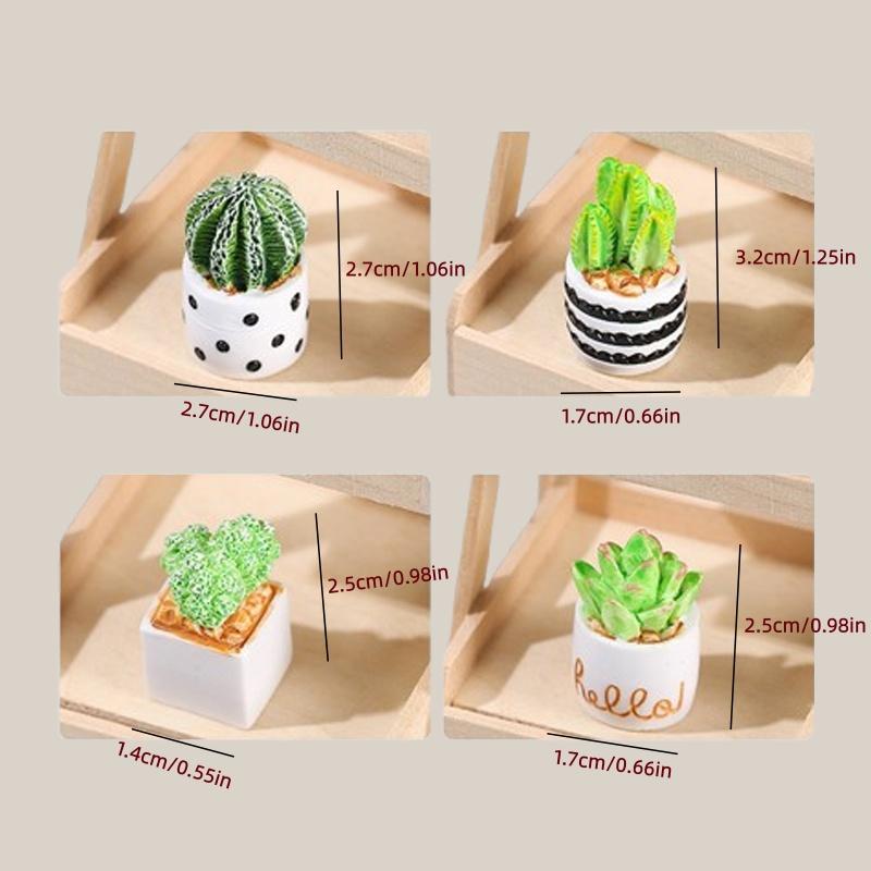 4-Piece Set of Cactus Succulen - Cactus Mix Pot ulasan dan harga
