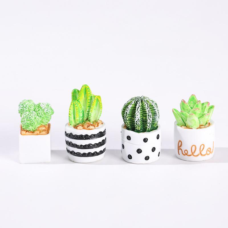 4-Piece Set of Cactus Succulen - Cactus Mix Pot ulasan dan harga