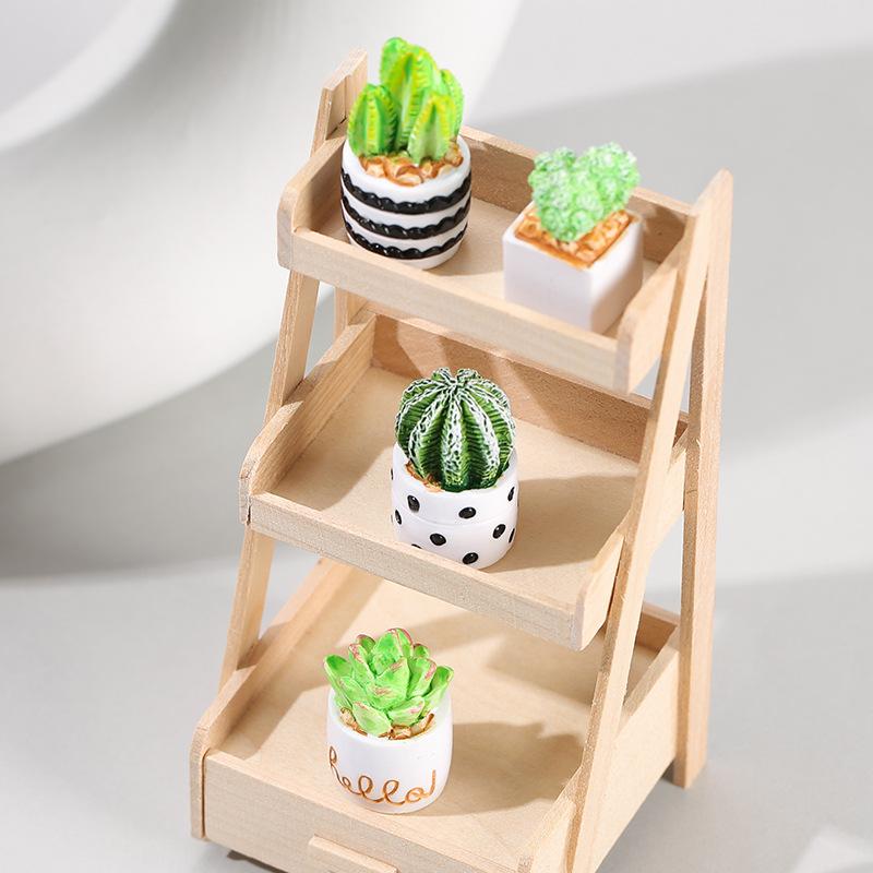 4-Piece Set of Cactus Succulen - Cactus Mix Pot ulasan dan harga