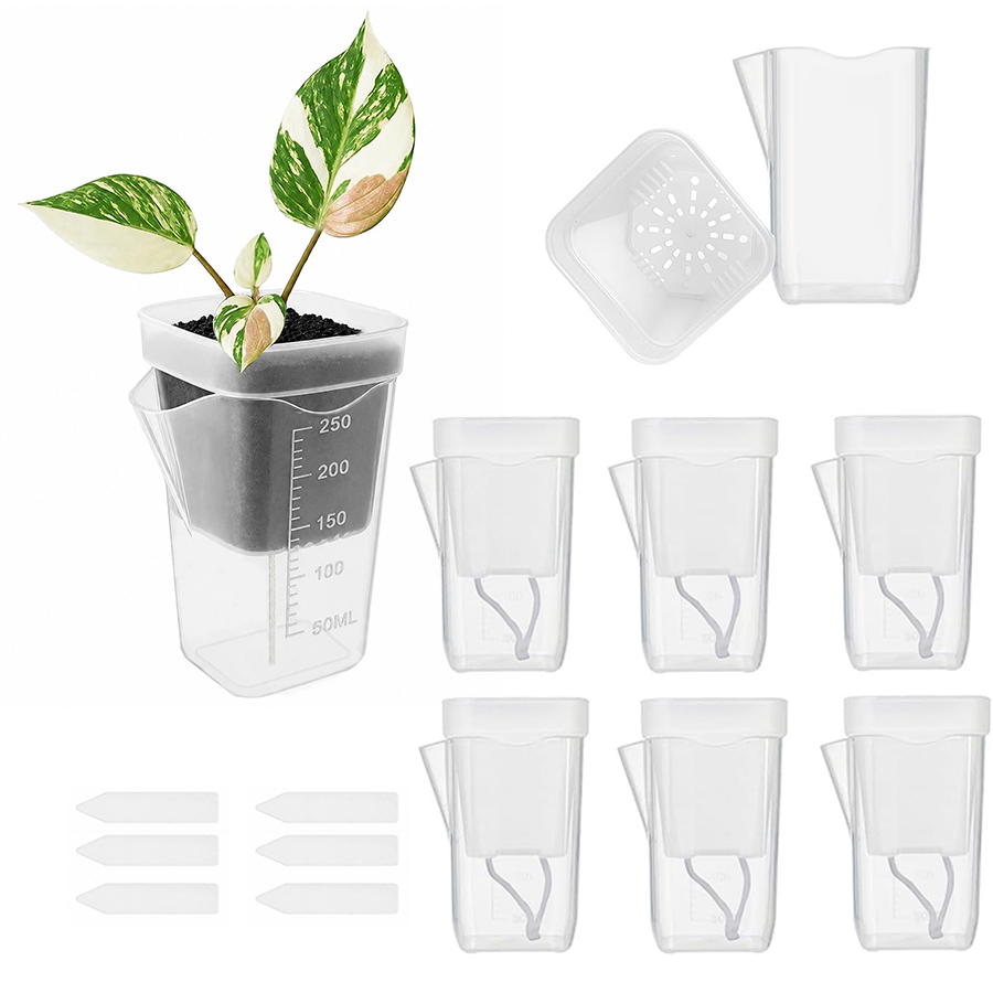 12/24PCS Self Watering Succule - Plant Parent Kit ulasan dan harga