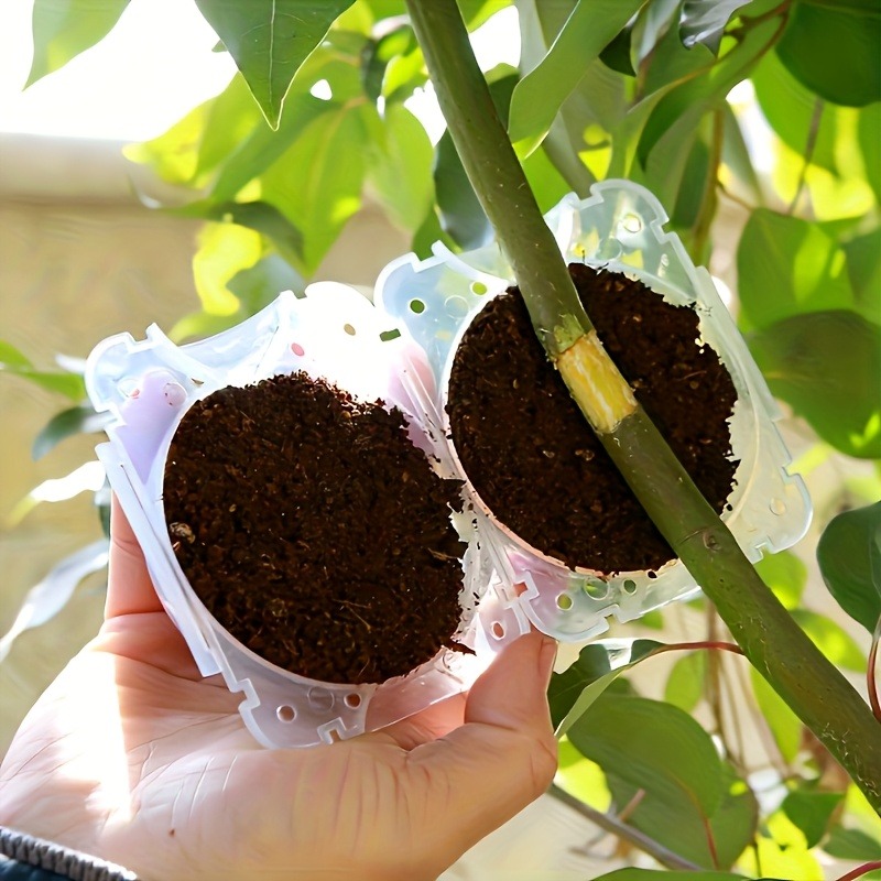 10Pcs High Pressure Plant Root - Plant Parent Kit ulasan dan harga