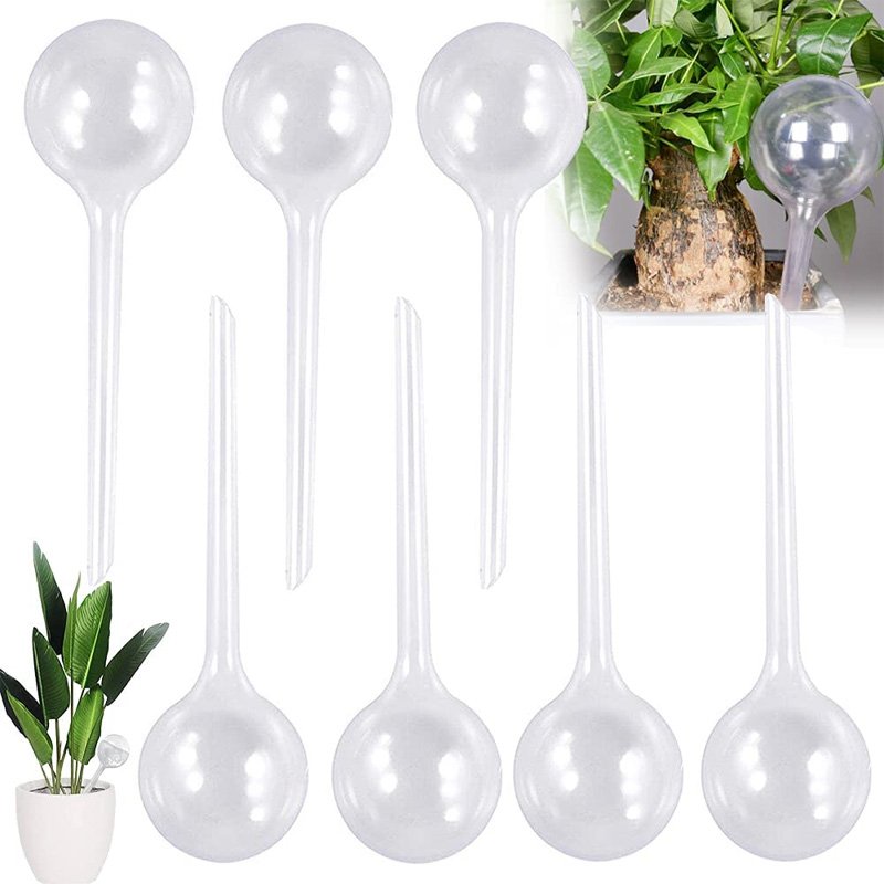 5/10PCS Automatic Plant Wateri - Plant Parent Kit ulasan dan harga