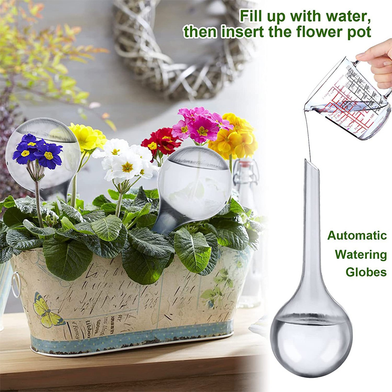 5/10PCS Automatic Plant Wateri - Plant Parent Kit ulasan dan harga