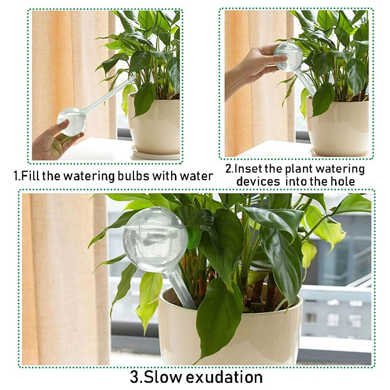 5/10PCS Automatic Plant Wateri - Plant Parent Kit ulasan dan harga